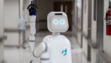 سرگرمی و ورزش