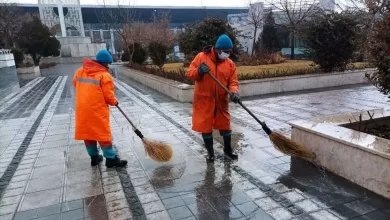 جذب پاکبانان