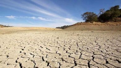 خشک‌ترین پاییز یک قرن اخیر در تهران: چه اقداماتی برای مقابله با بحران در حال انجام است؟