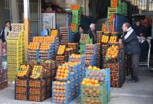 شایعه تزریق سم به پرتقال تکذیب شد