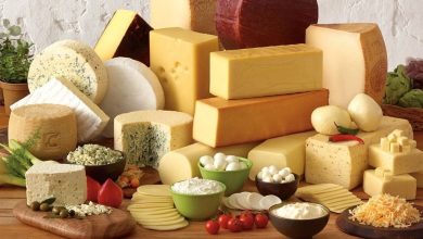 پنیر و سلامت مغز