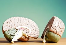 نخستین نشانه