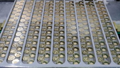 پیش فروش سکه