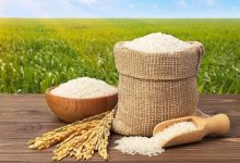 چرا برنج شمال در بازار نایاب شده است؟