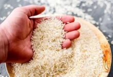 چرا قیمت برنج ایرانی همچنان افزایش می‌یابد؟