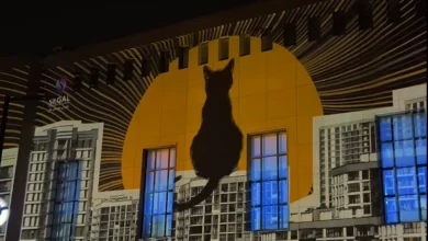 چرا هفته دیزاین تهران متوقف شد؟