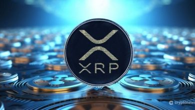 چه کسانی در سال ۲۰۲۵ مالک بیشترین XRP هستند؟ - تصویر 1