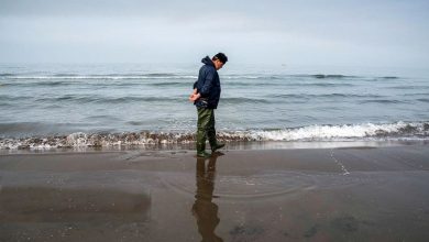 رئیس مرکز زلزله‌شناسی: کاهش سطح آب خزر فرونشست زمین را تشدید می‌کند