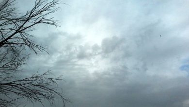 توده هوای سرد