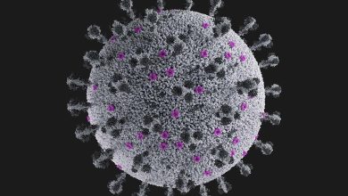 افزایش شیوع آنفلوآنزا همزمان با ظهور سوش XFG کرونا؛ دو تهدید تنفسی فعلی