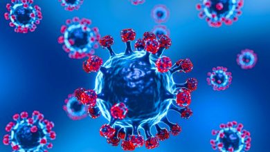 آیا کرونای تیغی وارد ایران شده؟ پاسخ متخصصان به شایعات