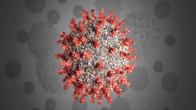 کرونای تیغی به ایران رسید