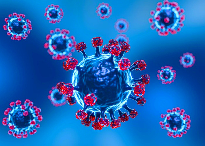 آیا کرونای تیغی وارد ایران شده؟ پاسخ متخصصان به شایعات