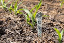 کشاورزان فقیر