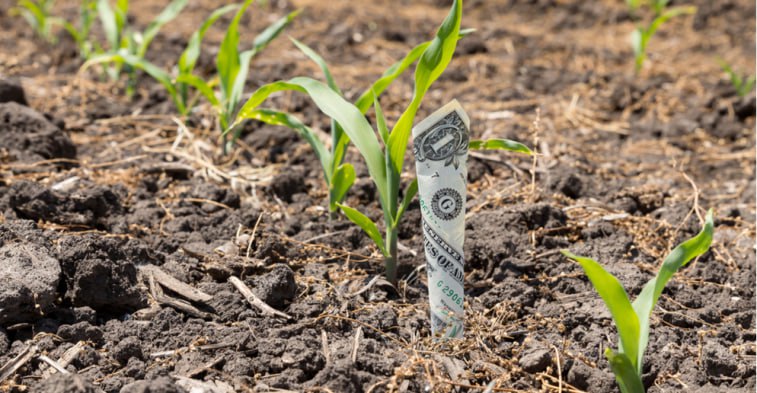 کشاورزان فقیر