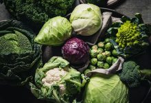 آبیاری نوین