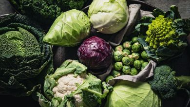 آبیاری نوین