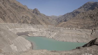 اعتماد عمومی