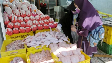 گرانی مرغ؛ چرا ارز ترجیحی فقط ۳۶ درصد هزینه تولید را پوشش می‌دهد