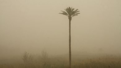 وزش باد شدید