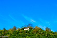 مه غلیظ در استان