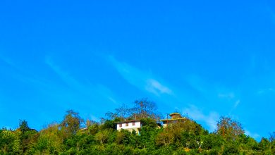 مه غلیظ در استان