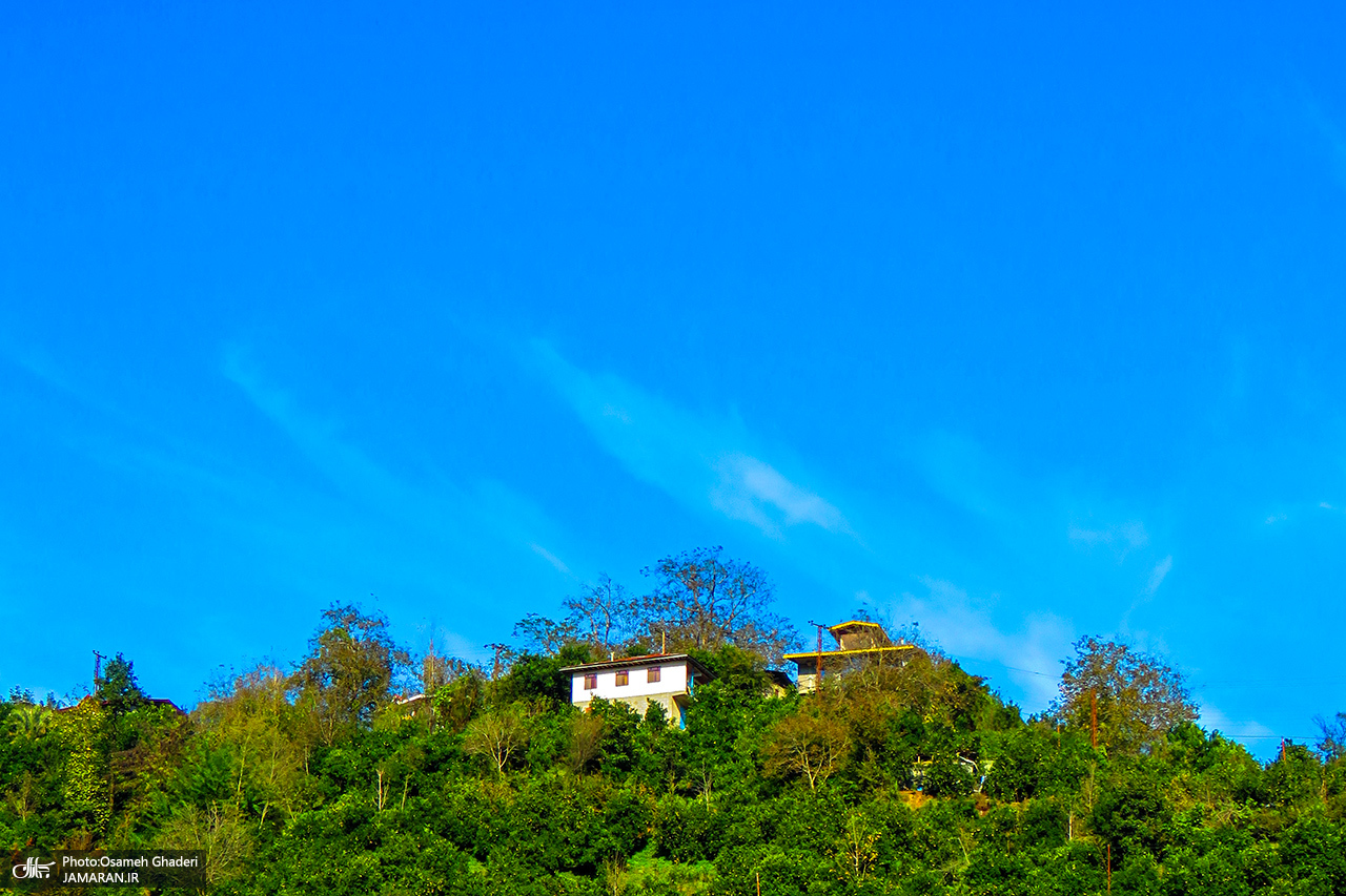 مه غلیظ در استان