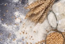 وزارت بهداشت سیگنال داد ادامه غنی‌سازی آرد نیازمند بررسی‌های نهایی است