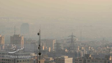 قربانیان آلودگی هوا