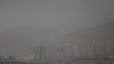 برف و آنفلوآنزا