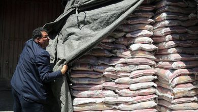 شهرری شناسایی