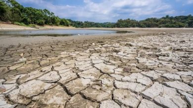 چرخه آب ایران مختل شده است؛ کاهش بارش نتیجه سوءمدیریت منابع و تغییر اقلیم