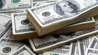 زنگ خطر ارزی؛ ۱۸ میلیارد دلار ارز در ۱۴۰۳ برنگشت