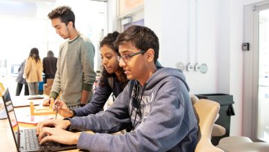 یک سال بیمه رایگان کارفرما به شرط جذب کارورز؛ مشوق جدید وزارت کار برای اشتغال‌زایی