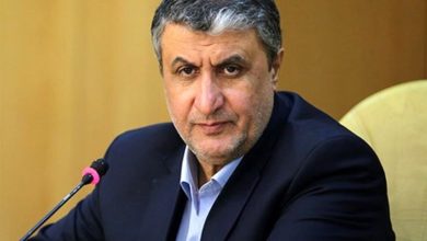 اسلامی: غنی‌سازی نقطه آغاز و مبدأ تولید رادیودارو است