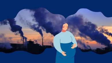 چگونه آلاینده‌ها بر جنین تاثیر می‌گذارند