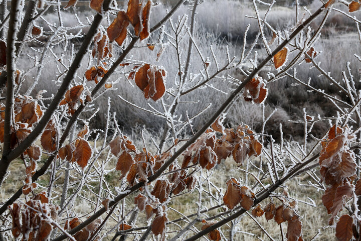 اوج سرما در نیمه دوم هفته؛ تهران و البرز در تیررس یخبندان