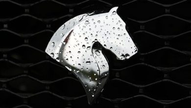 4.6 میلیون ثبت‌نام کننده برای 12 خودرو؛ آیا این تنها یک لاتاری است؟