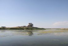 باران معجزه کرد؛ کانی‌برازان مهاباد دوباره میزبان پرندگان شد