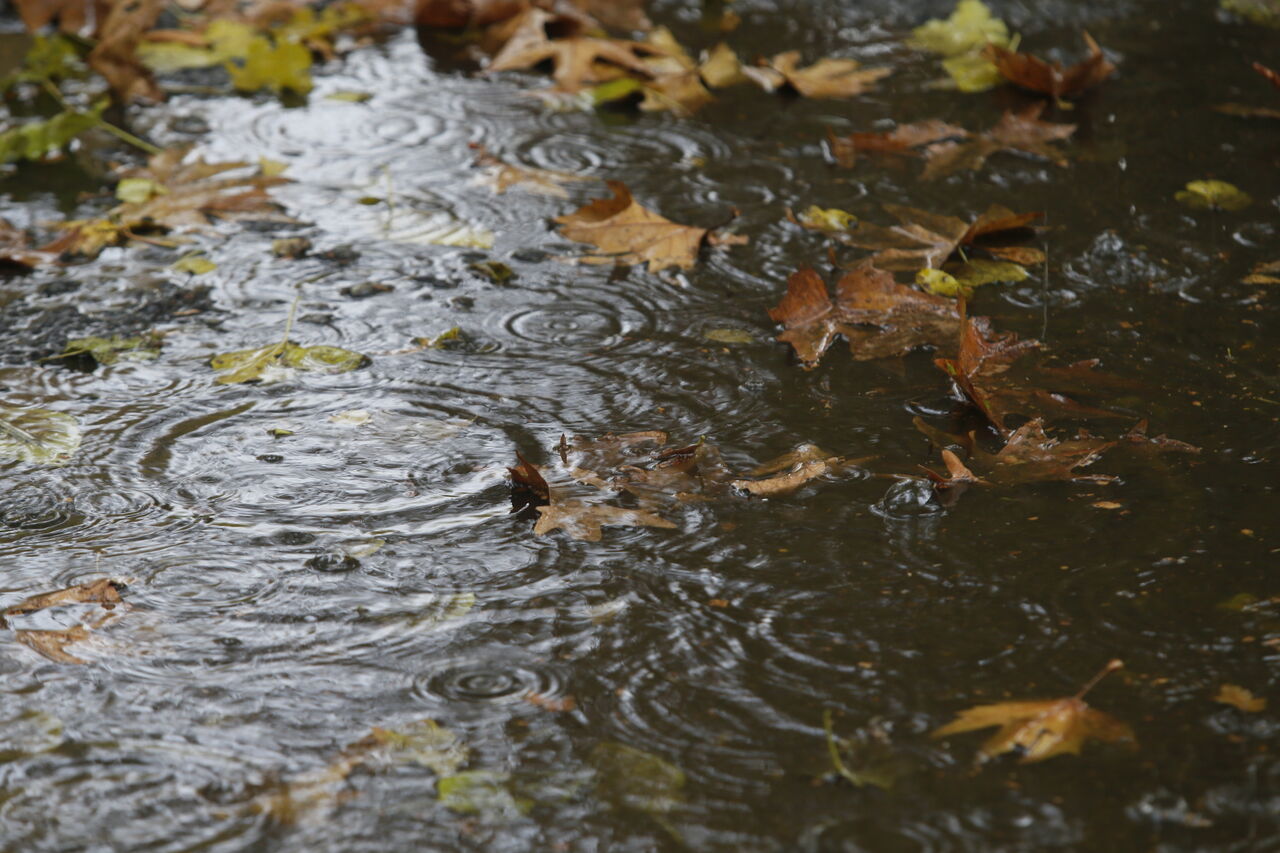 بارش برف و باران