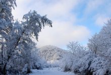 جلوگیری از خسارت