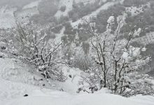 هشدار یخبندان