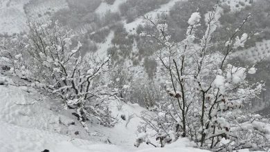 هشدار یخبندان