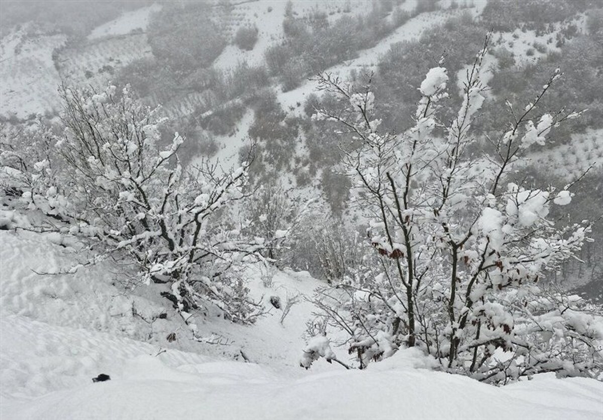 هشدار یخبندان