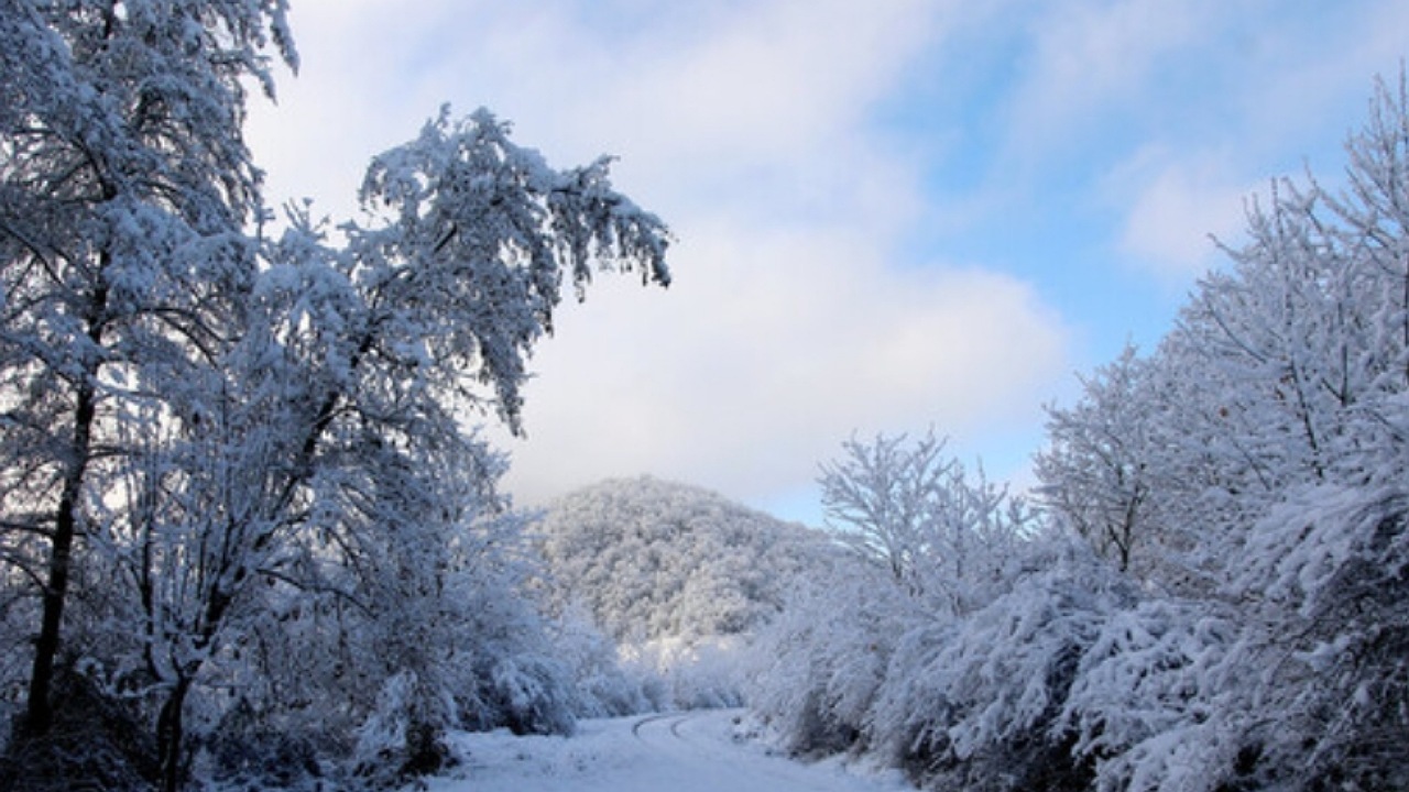 جلوگیری از خسارت