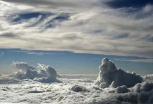 اجرای طرح بارورسازی