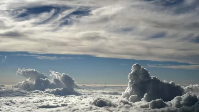 اجرای طرح بارورسازی