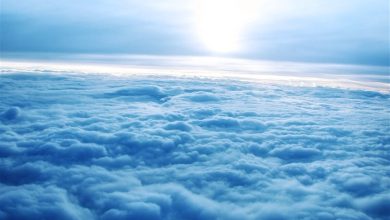 داده‌های دقیق و قابل اتکا