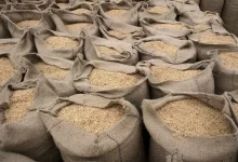 آمار جدید جهش قیمت برنج؛ دلار سفره خانوار را هدف گرفت