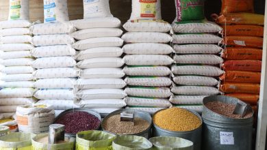 وزیر جهاد کشاورزی: ارز آزاد، بازار برنج را ارزان‌تر می‌کند